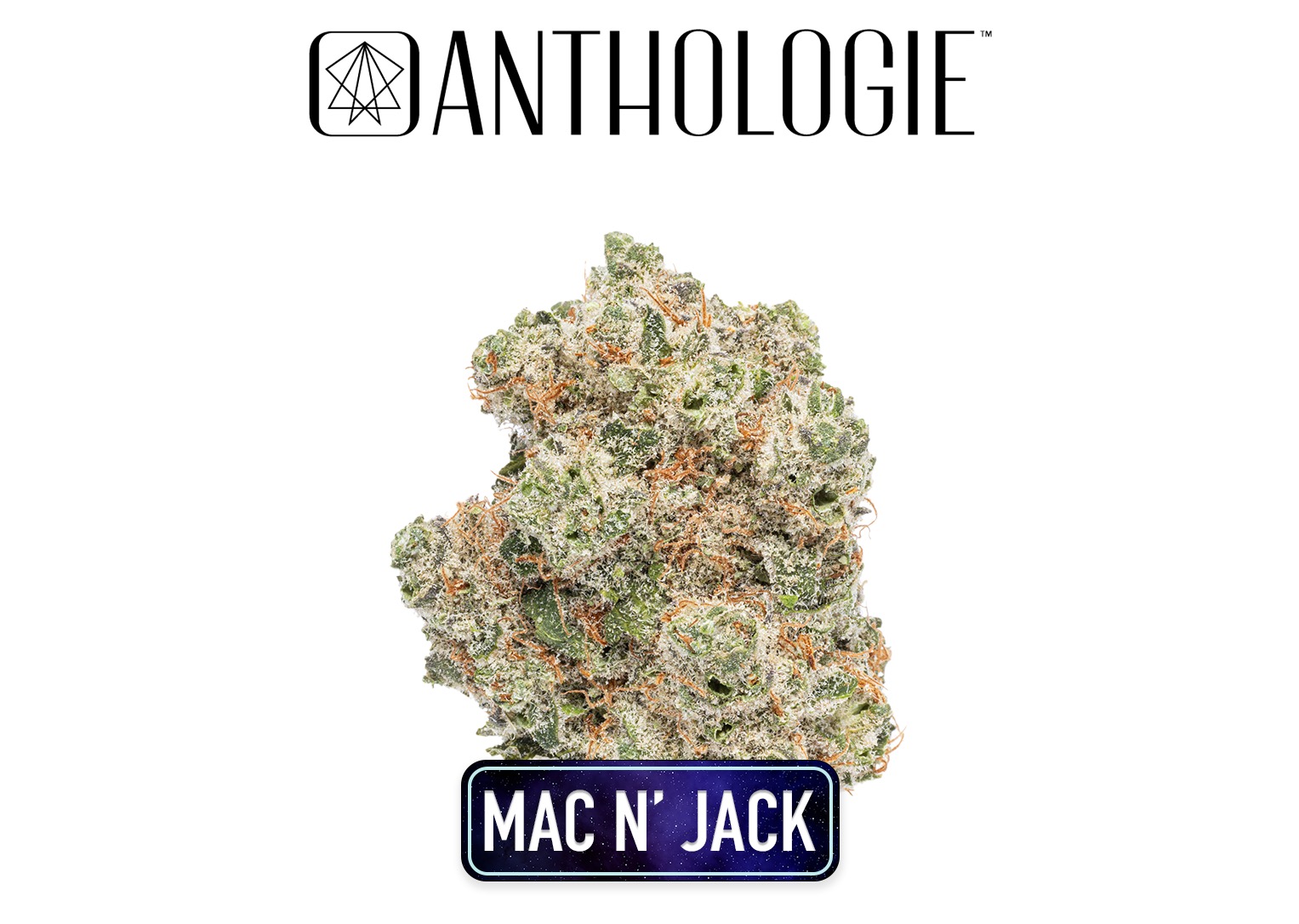 Mac N Jack  Bud