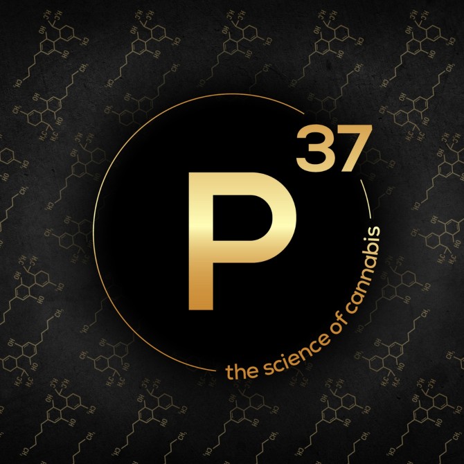 Permanent Marker Deli Flower