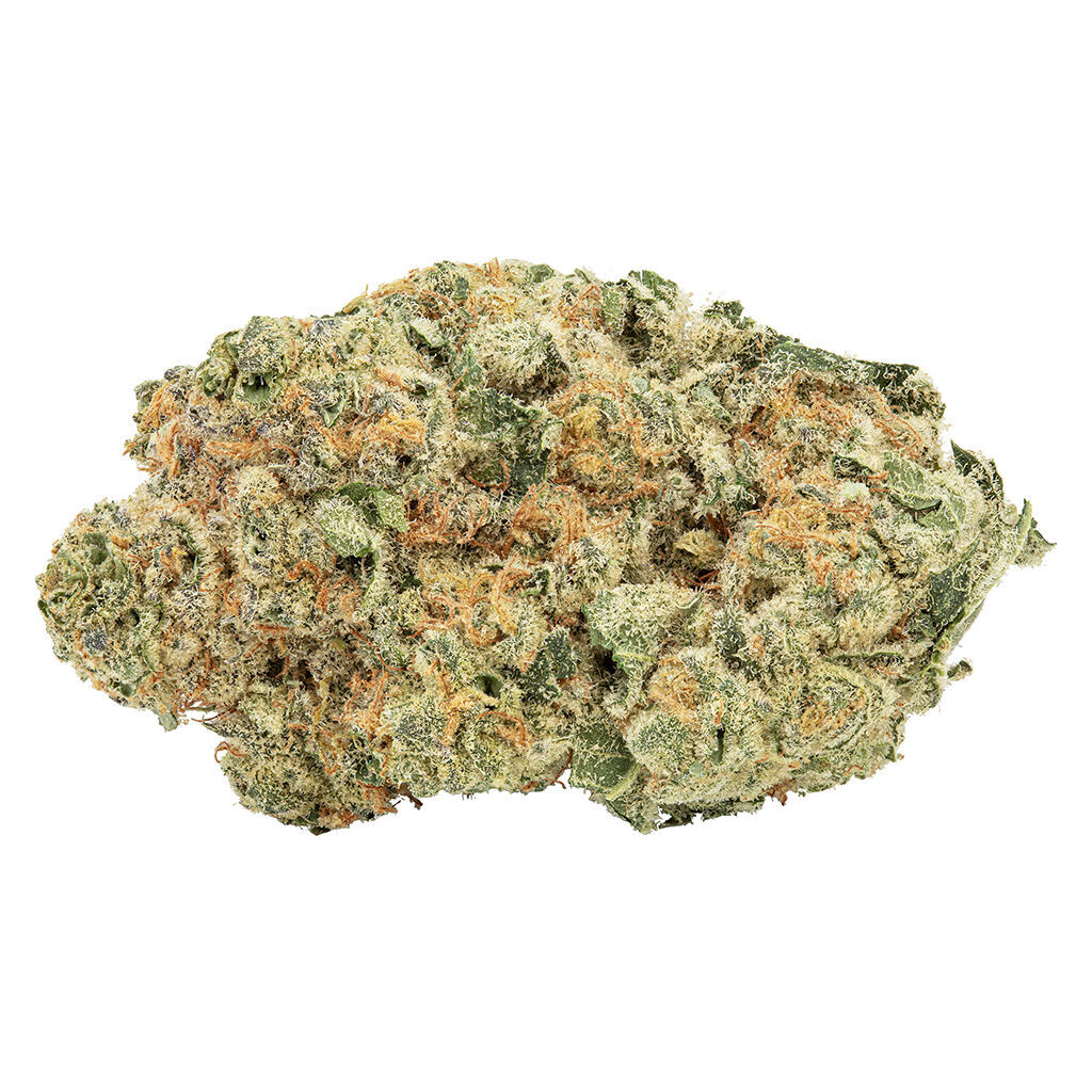 Big Bag O' Buds - Tropicanna Tangie - Clementine x Tropicanna Punch - 7g