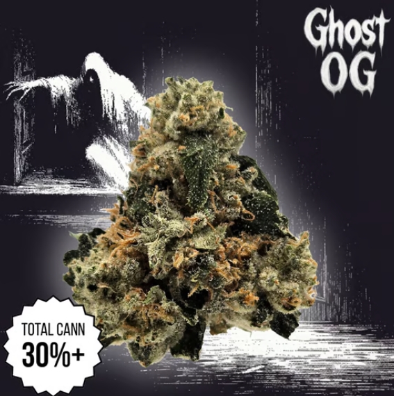Legacy | Ghost OG | Flower | 3.5g