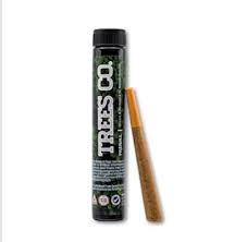 Dark Matter Prj Cone