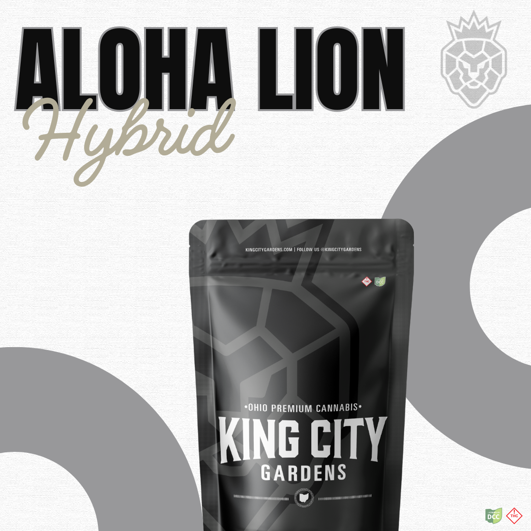 Aloha Lion