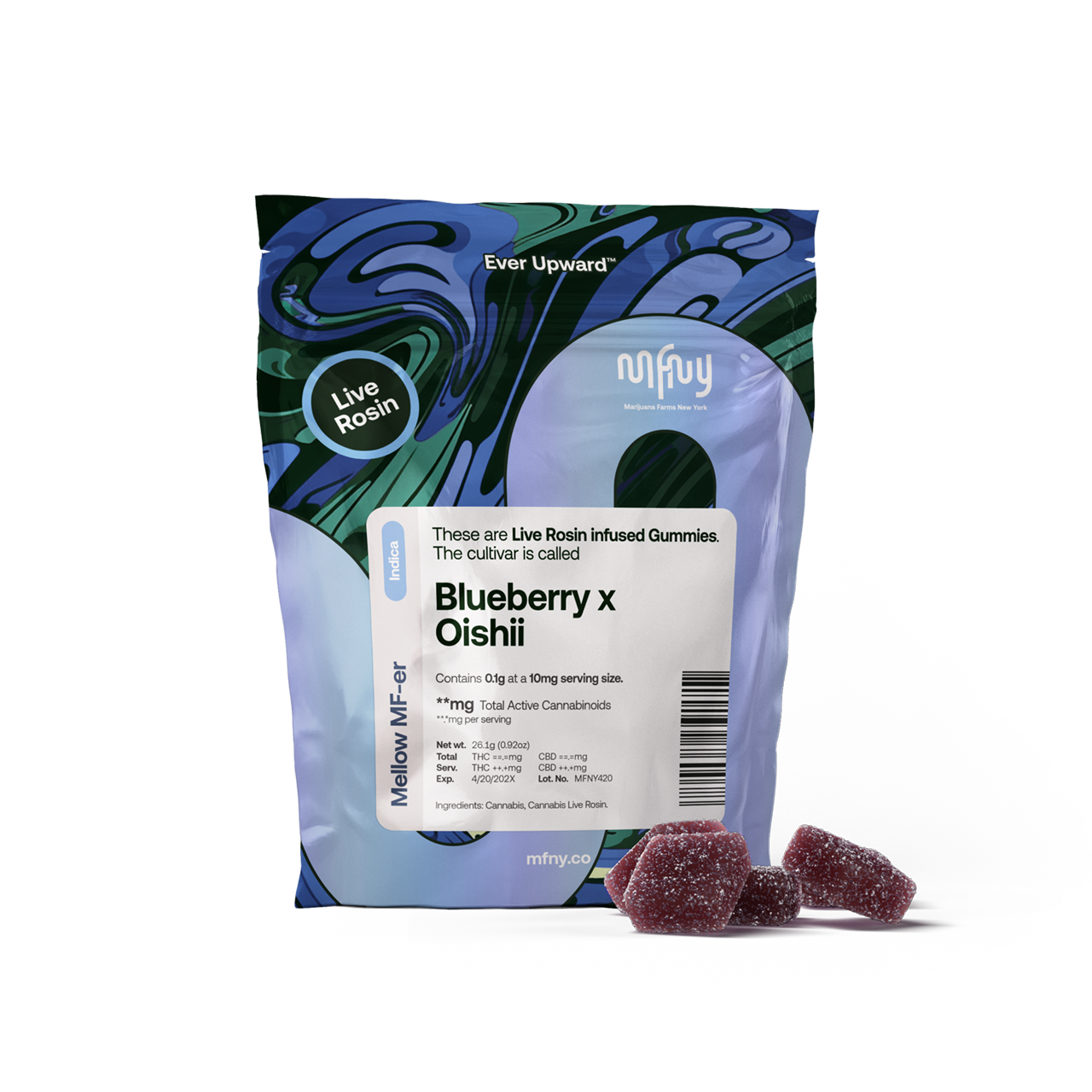 Blueberry x Oishii