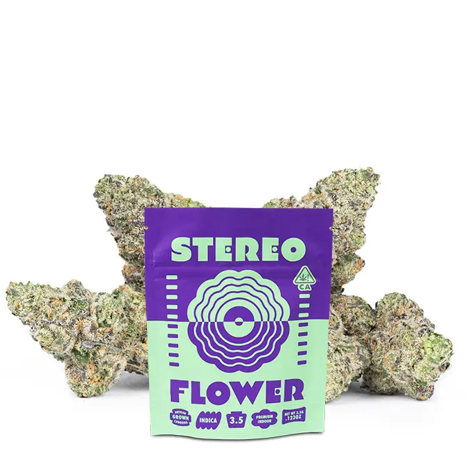 Stereo Flower - Neon Flyer - flower