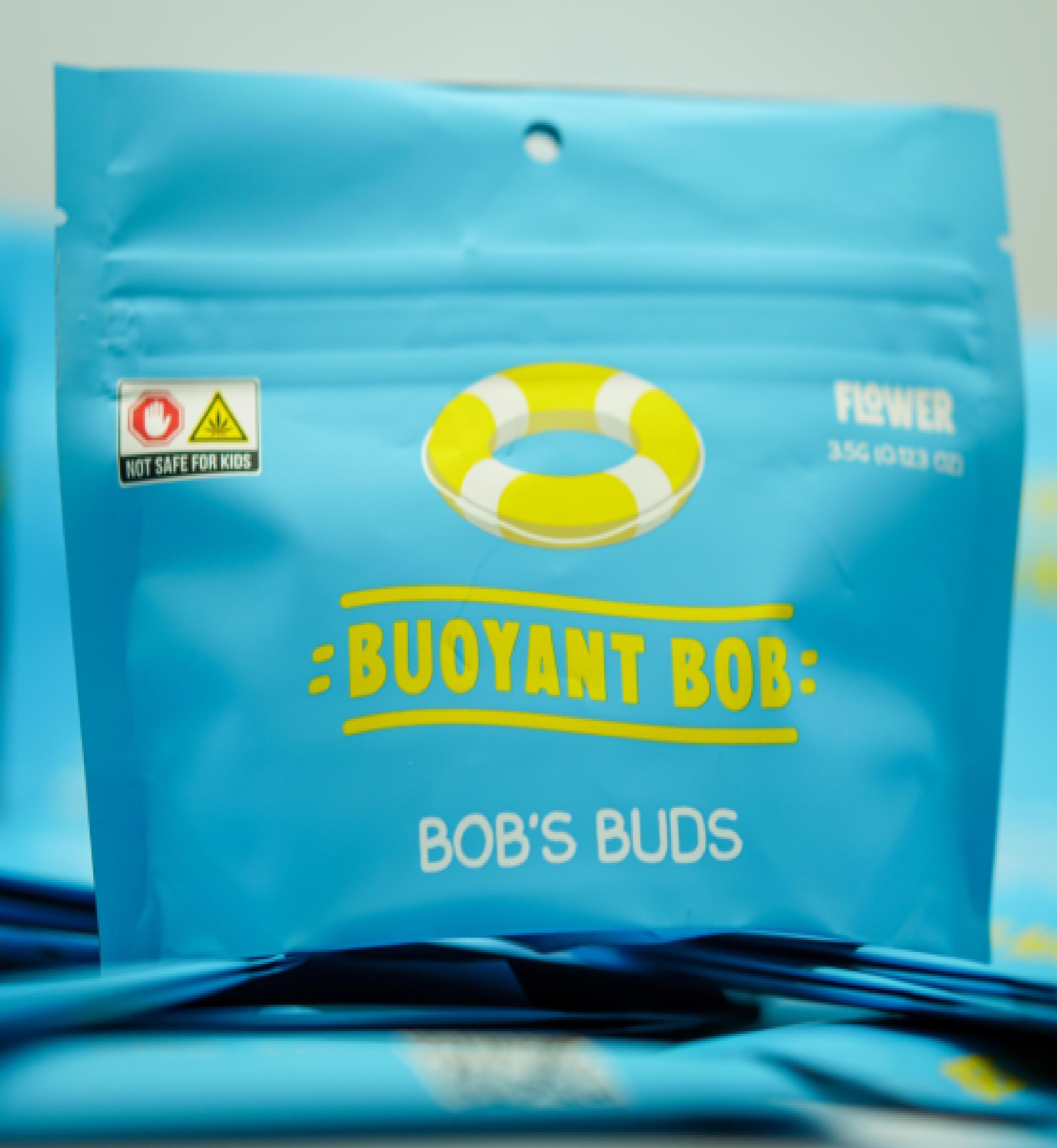 Bob's I Mimosa Noire I I (Hybrid)