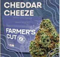 Cheddar Cheeze | 28g