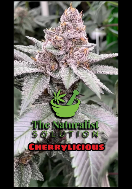 7g | Cherrylicious