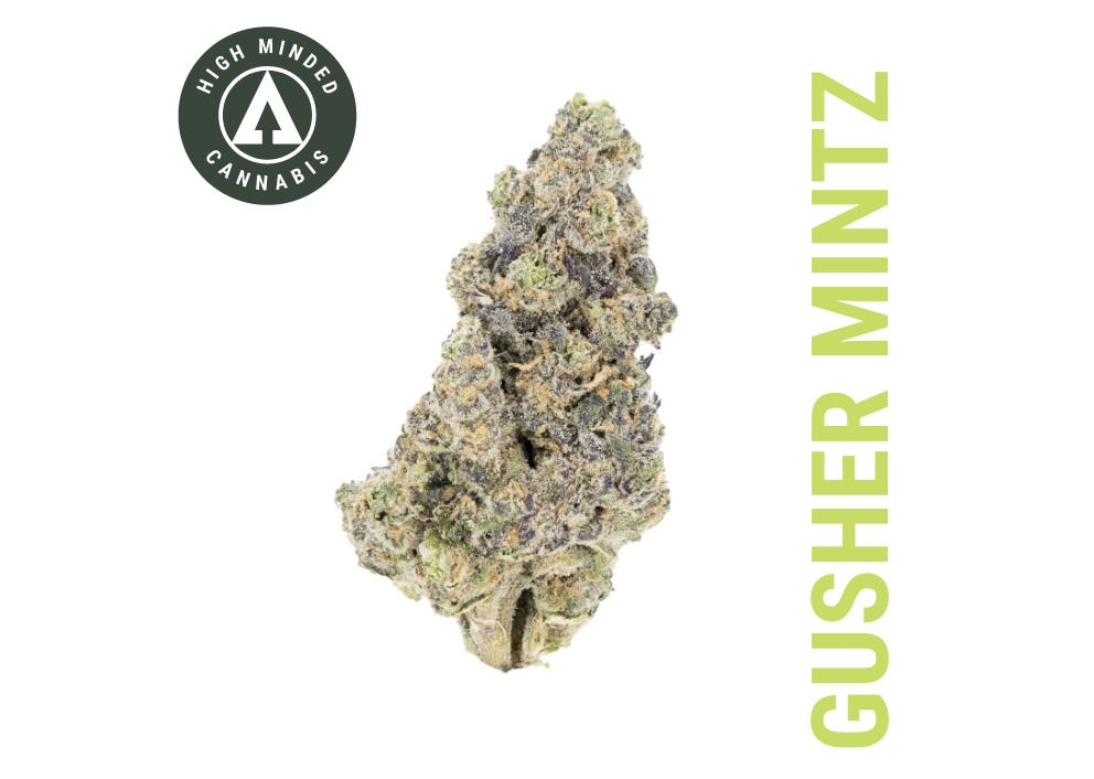 Gold Tier Tag - Gusher Mintz