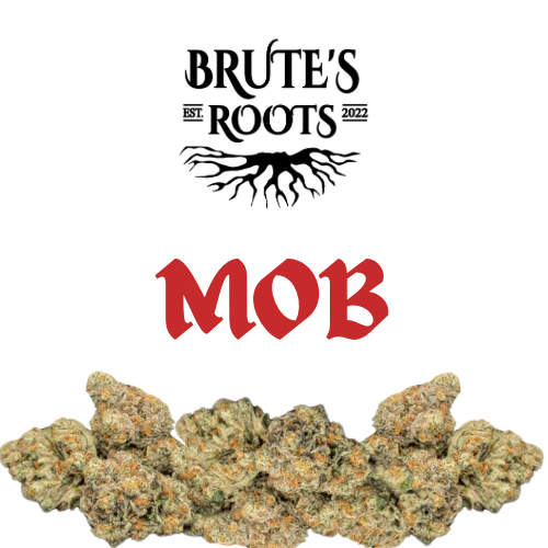 Flower - MOB - Brute's Roots - REC