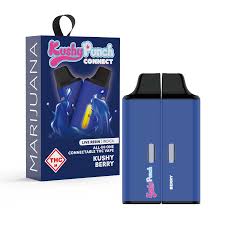 Kushy Berry | 1g Live Resin Connectable AIO Disposable