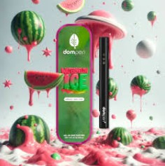 Dom Pen: Watermelon Ice 1G Vape Disposable