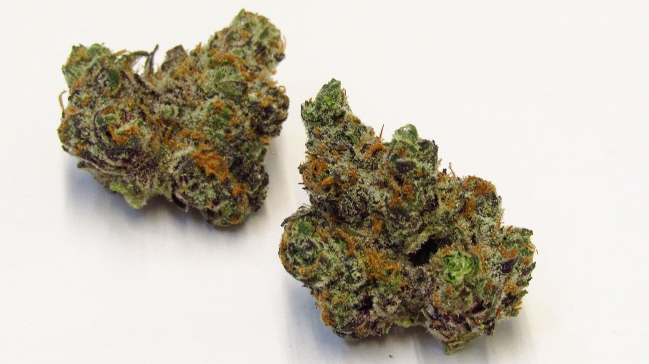 FUNK BOYS | BULK FLOWER BLUE ZKITTLES