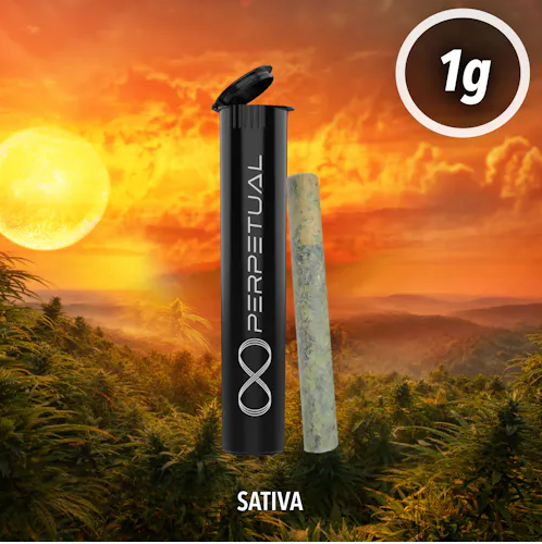 Pre-Roll | Chocolope | 1g