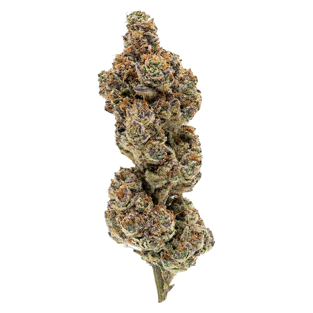 OVERTIME - Payday Pack (Emperor's Cut) - Hybrid - 2.0% Terps!!!