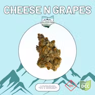 Cheese and Grapes