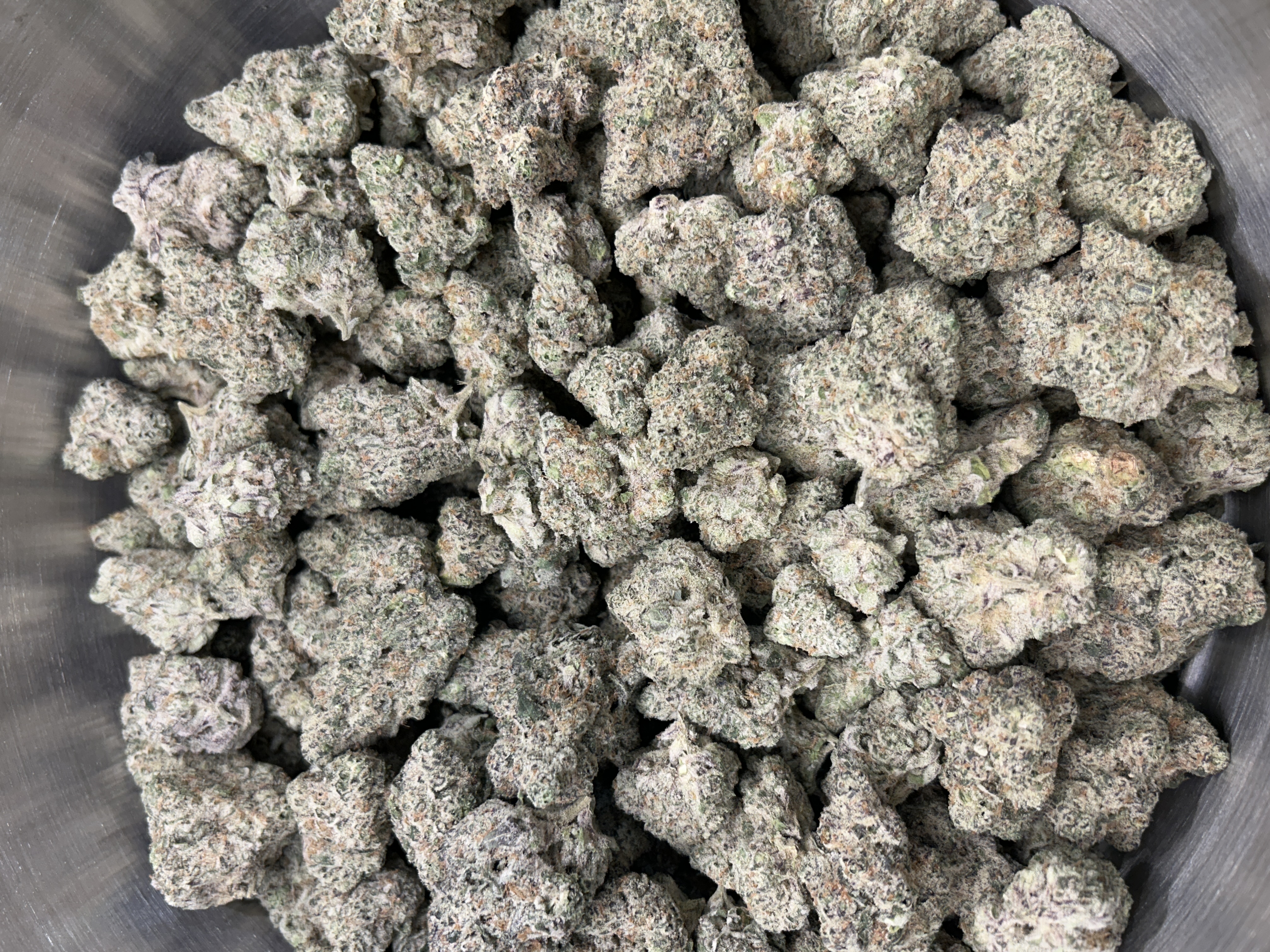 Harbor House | Grape Cream Cake | Buds | 2.5% Terps (1g) product photo