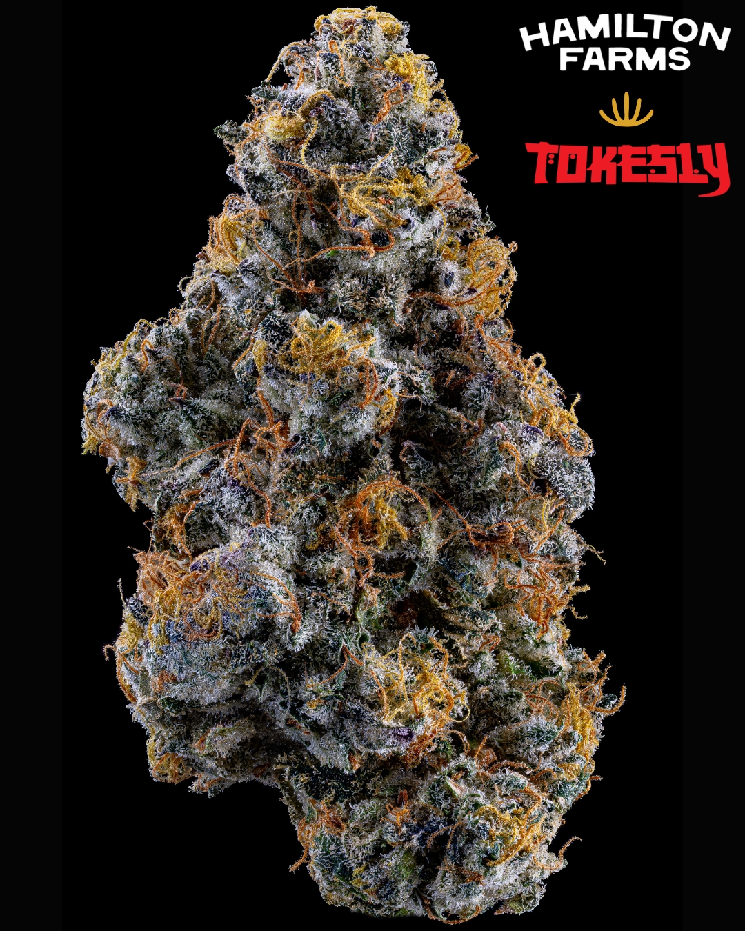 Flower | Whole Bud | Tokesly x Hamilton Farms | Kush Berry Burger