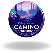 Camino | Sour Blackberry Dream THC:CBN:CBD Gummies | 2pk 20mg