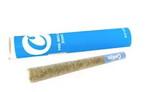 Cookies Pre 1PK | Pruno | 1g (Indica)