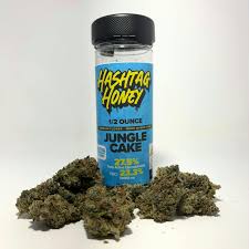 Jungle Cake