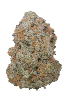 Papaya Crush   Infused