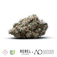 Rebel X Anthos: Double OG Sour (Juniors) 5.66g