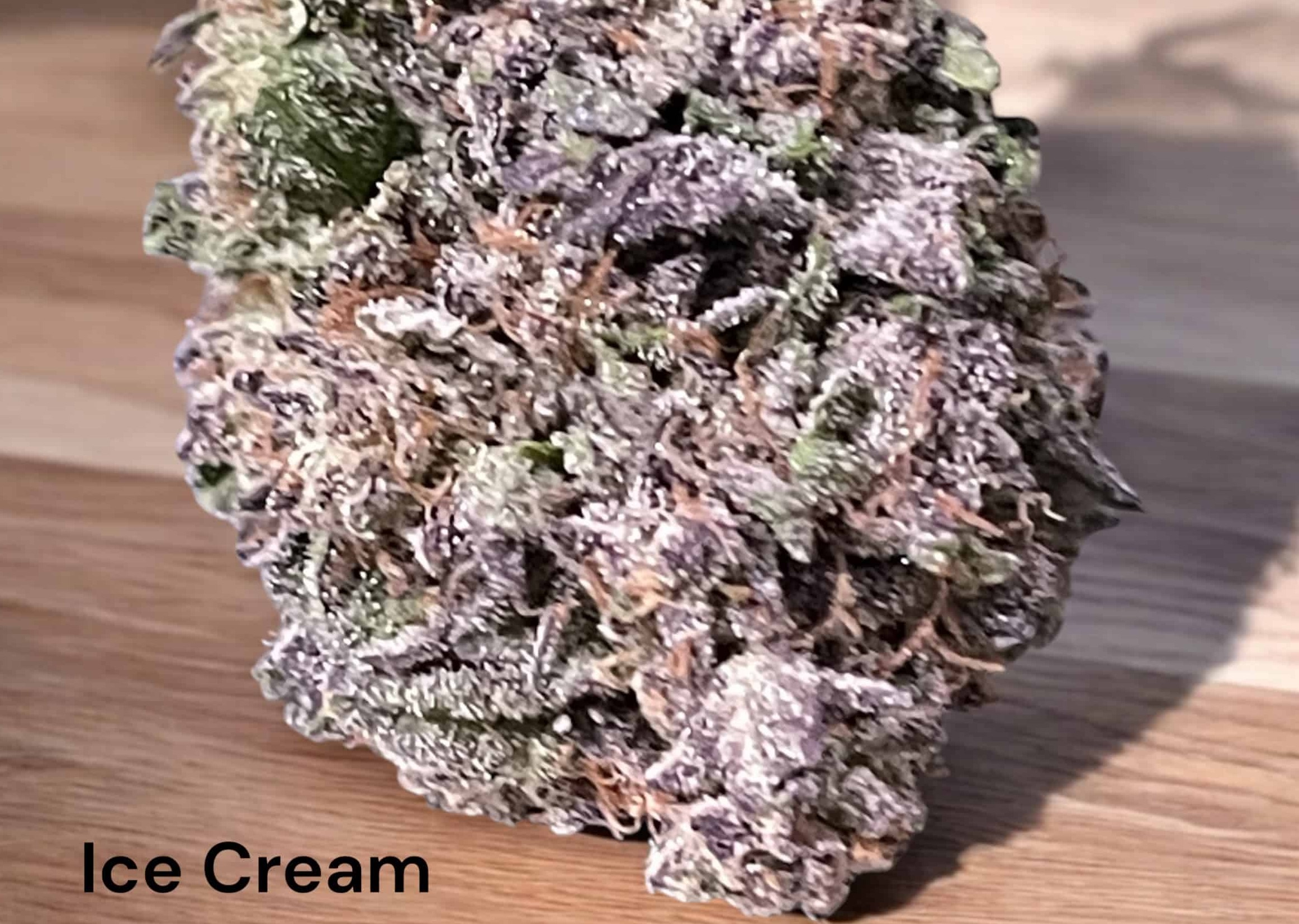 Ice Cream Cake