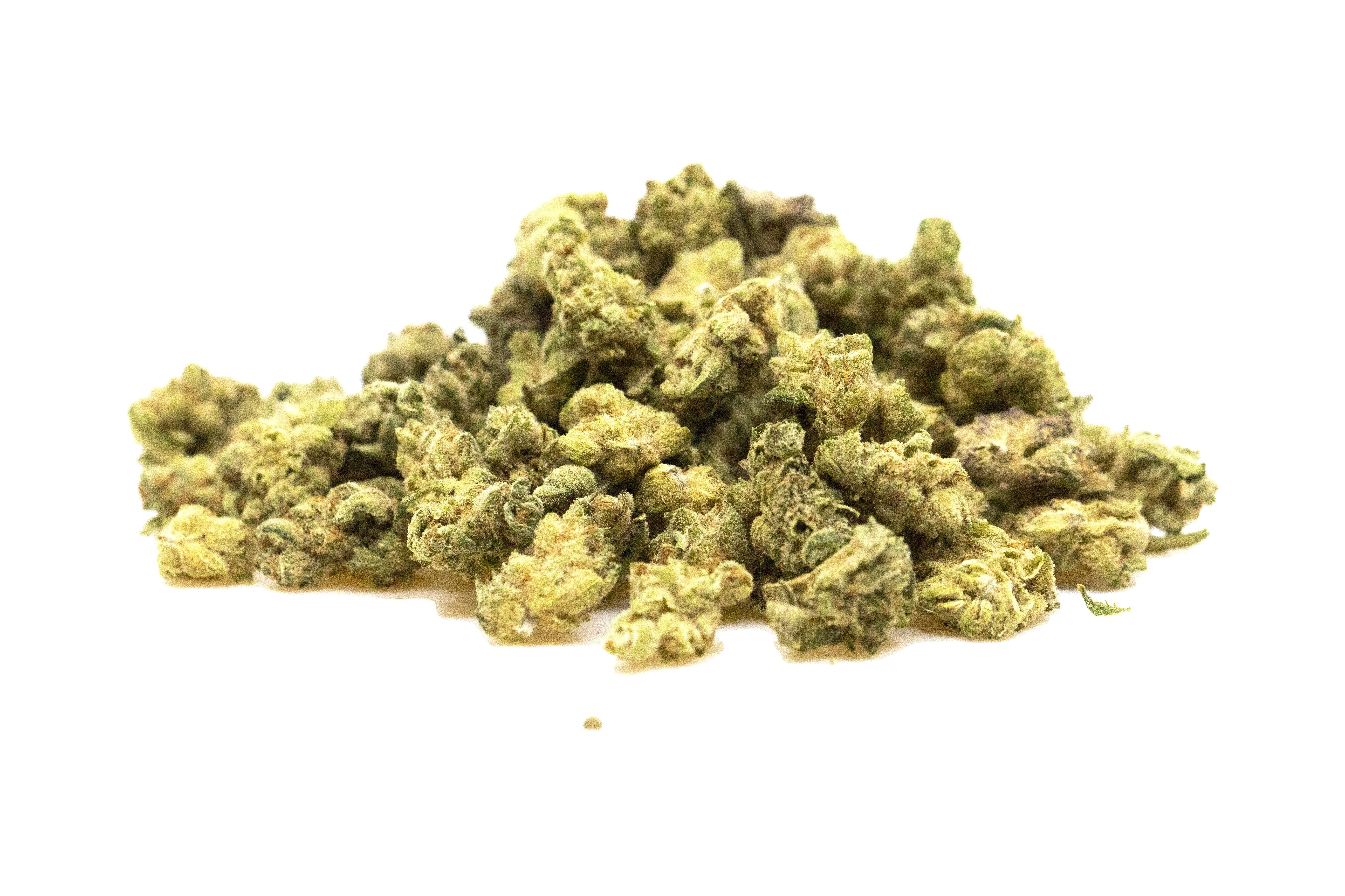 Sungrown | Orange Cream Pop | Bulk Flower