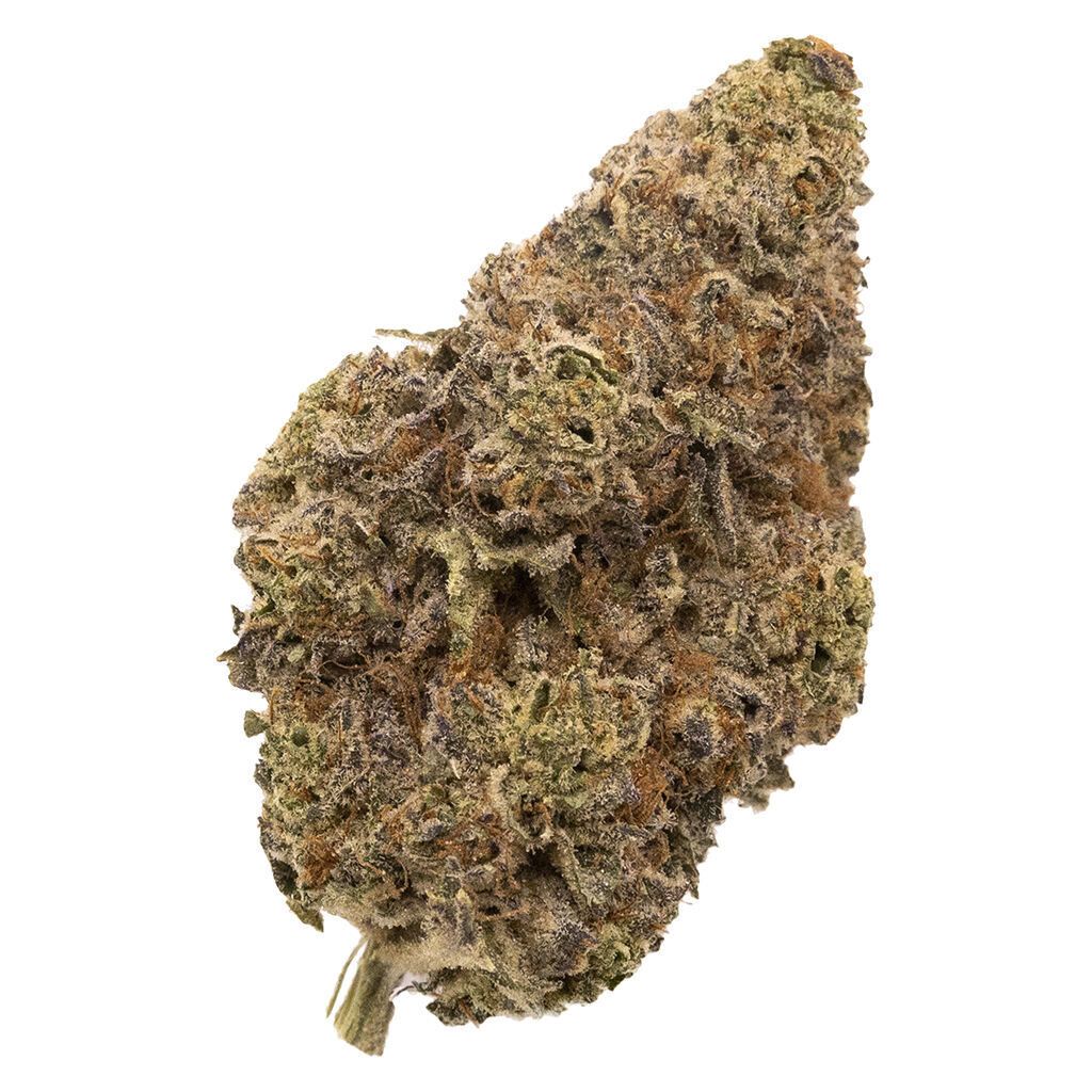 Figr - Chatty Kathy - Chatterbox x SinMintz - 3.5g