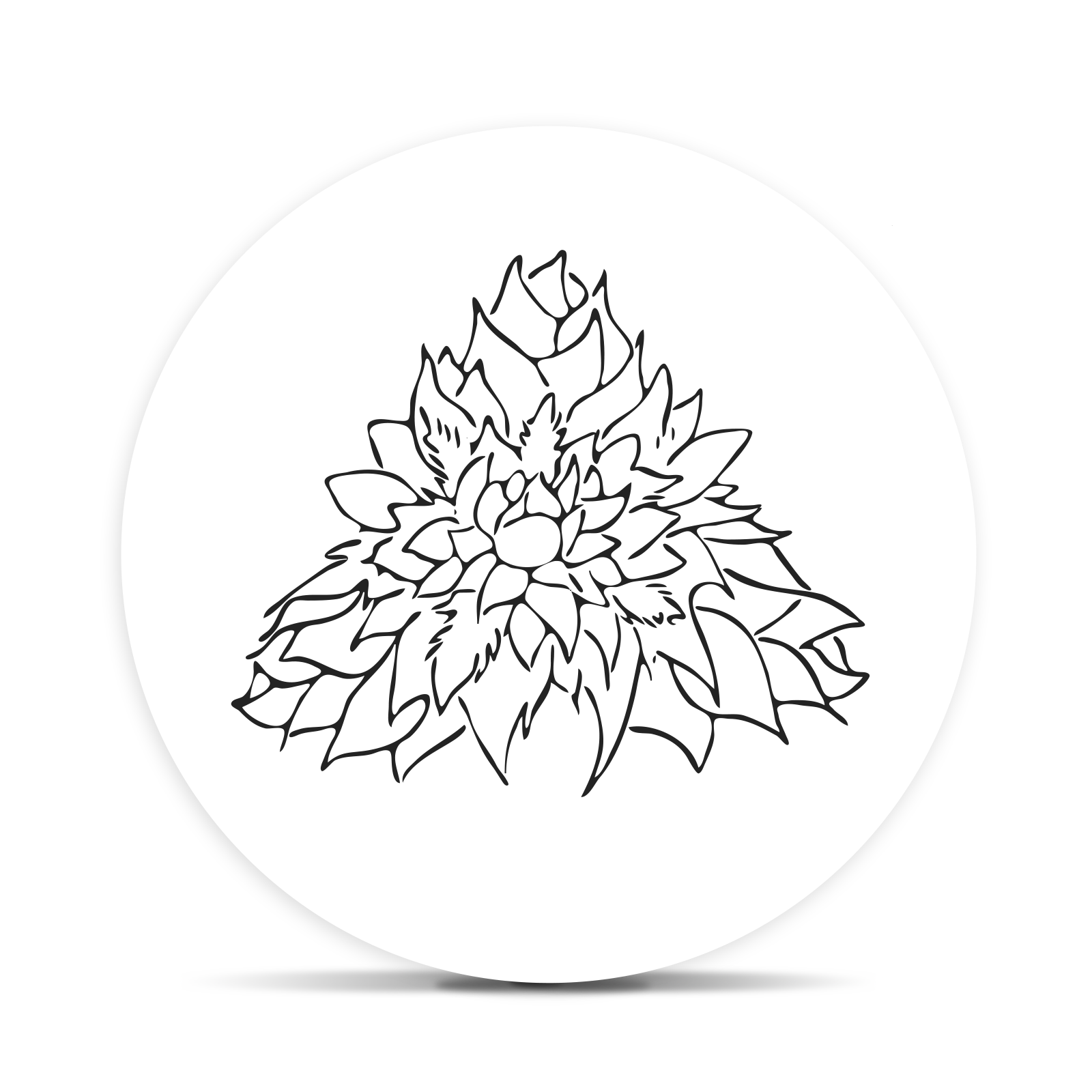 Zookies - Live Cured Flower