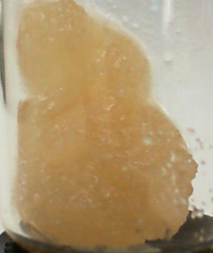 Bloom Montana (1g Caviar-Modified Gas)
