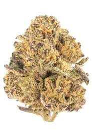 Jealousy - Prepack - 3.5g