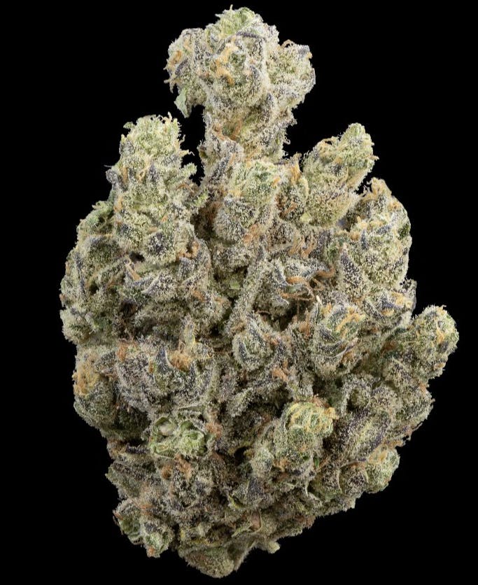 Carbon Fiber 15.61% Bulk