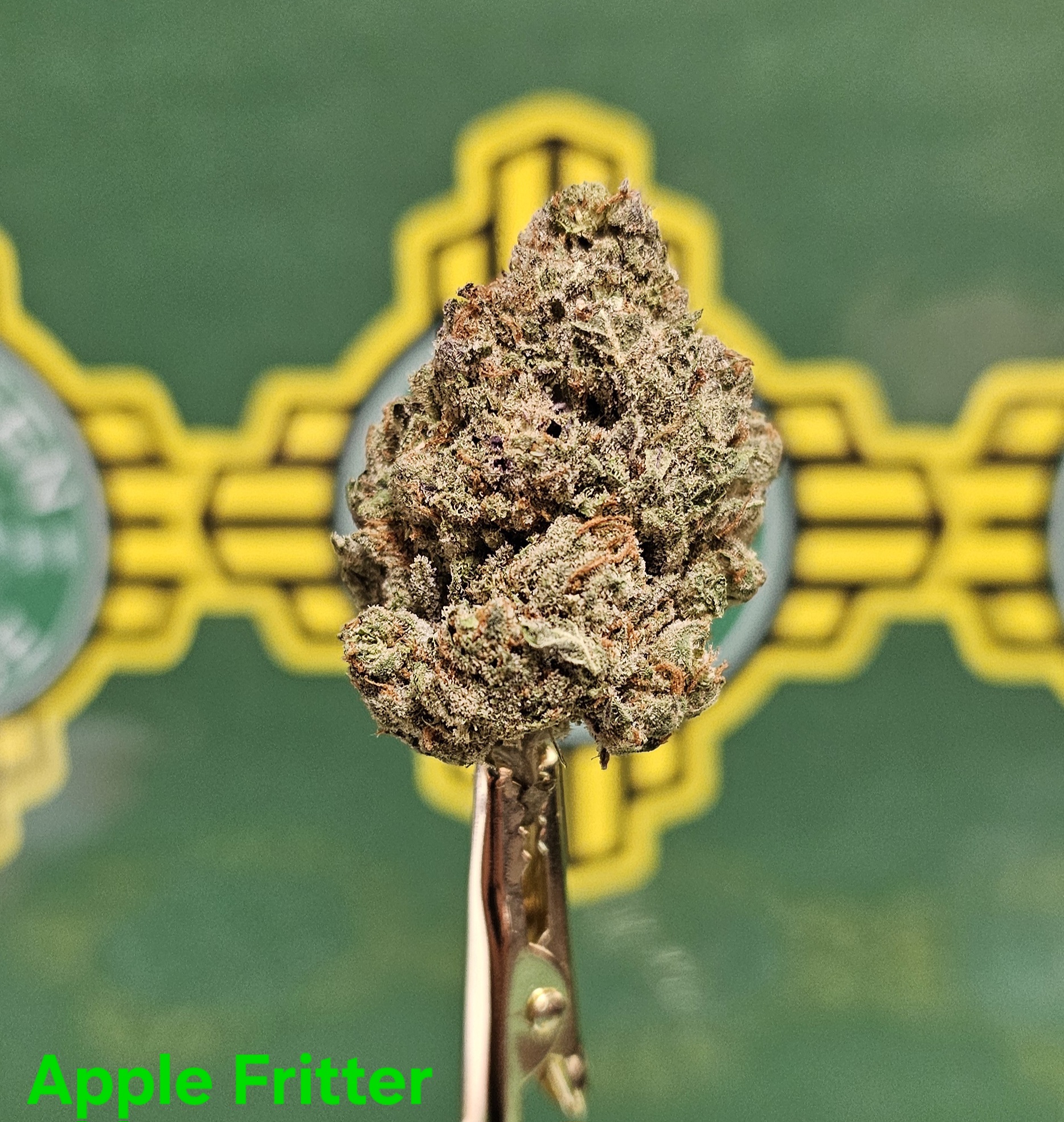 Apple Fritter