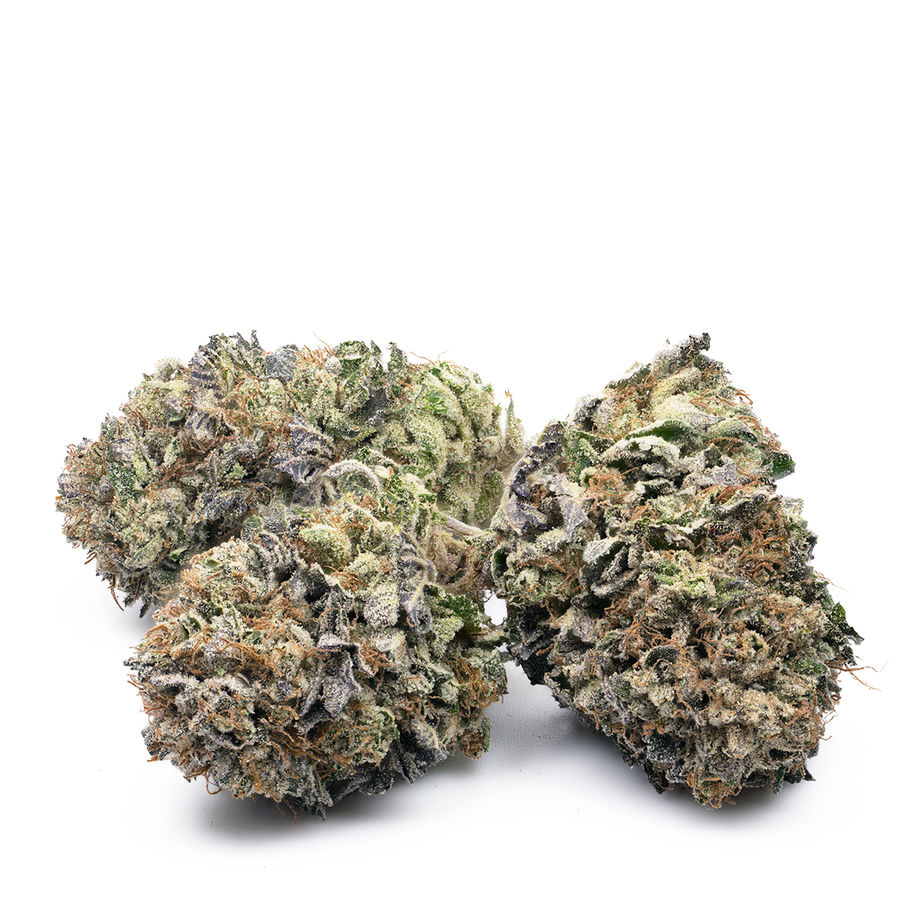 VERSUS BC PURPLE KUSH (IND) DRIED - 28G