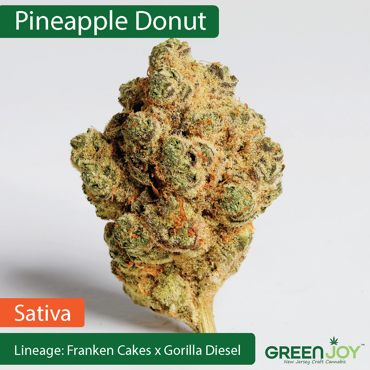 Pineapple Donut | Smalls | 14G