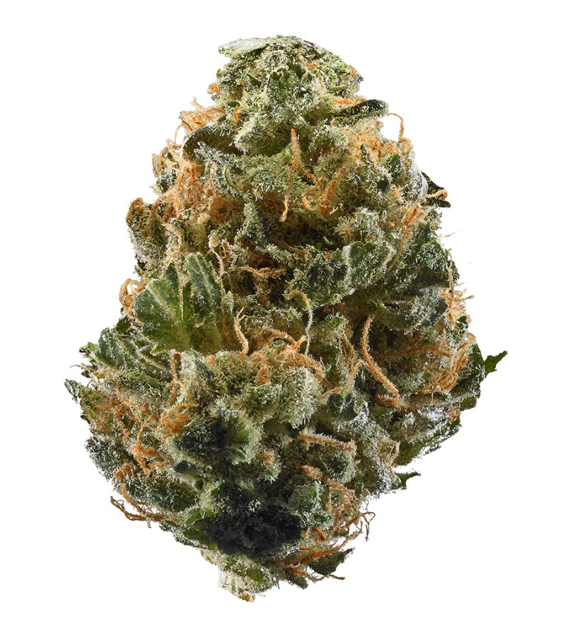 Bud C13 Haze