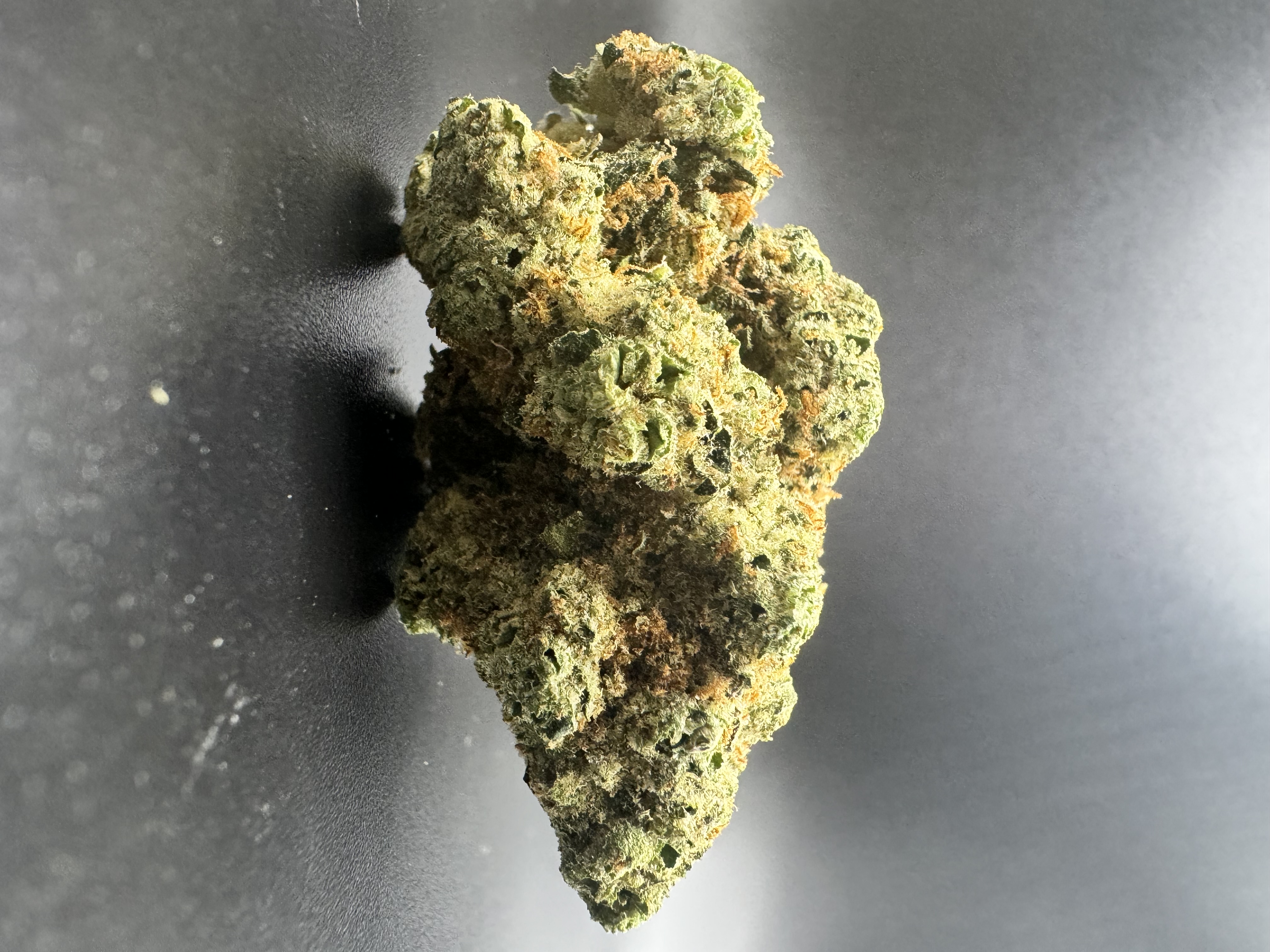 Crescendo (H) 19.11% - Bulk