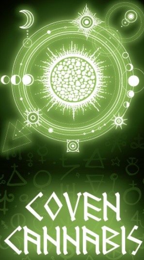 Gumbo 1g Hash & Rosin Infused Preroll Coven Cannabis