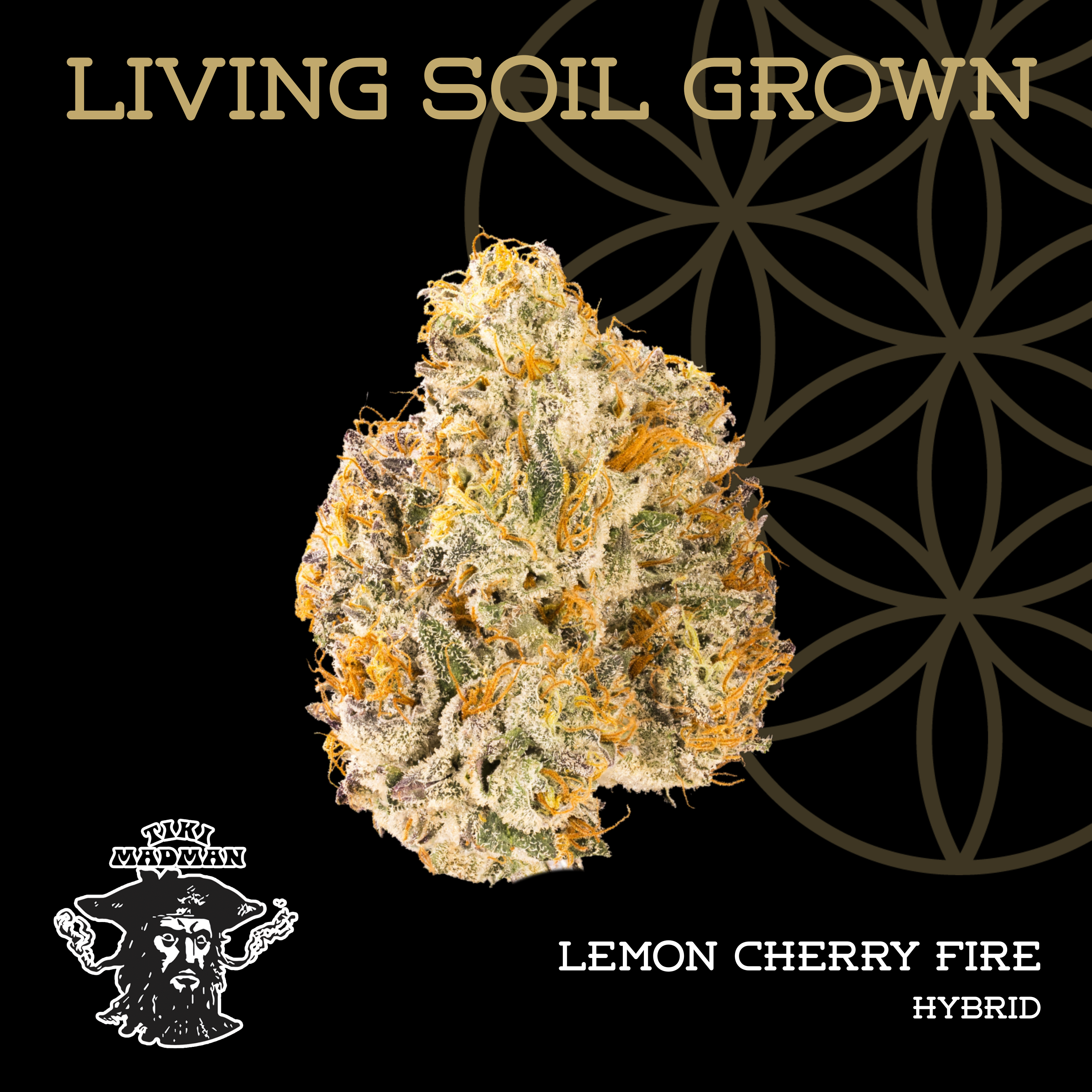 Living Soil | Lemon Cherry Fire | Bulk Deli