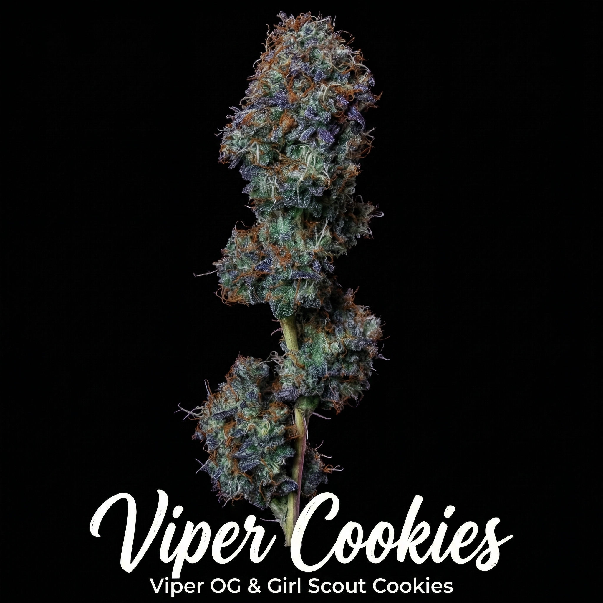 Viper Cookies THC 22.77%