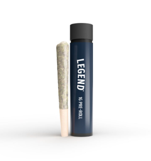 Mango Haze l Single Pre-Roll | 1g