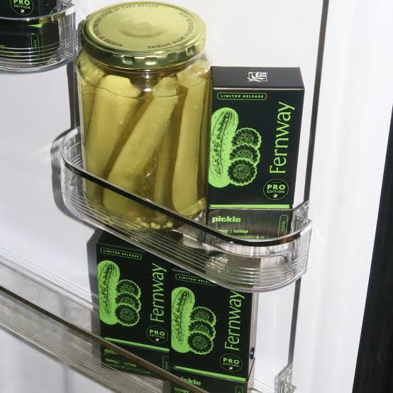 Fernway AIO Flavor Line Traveler Pro Pickle (H)