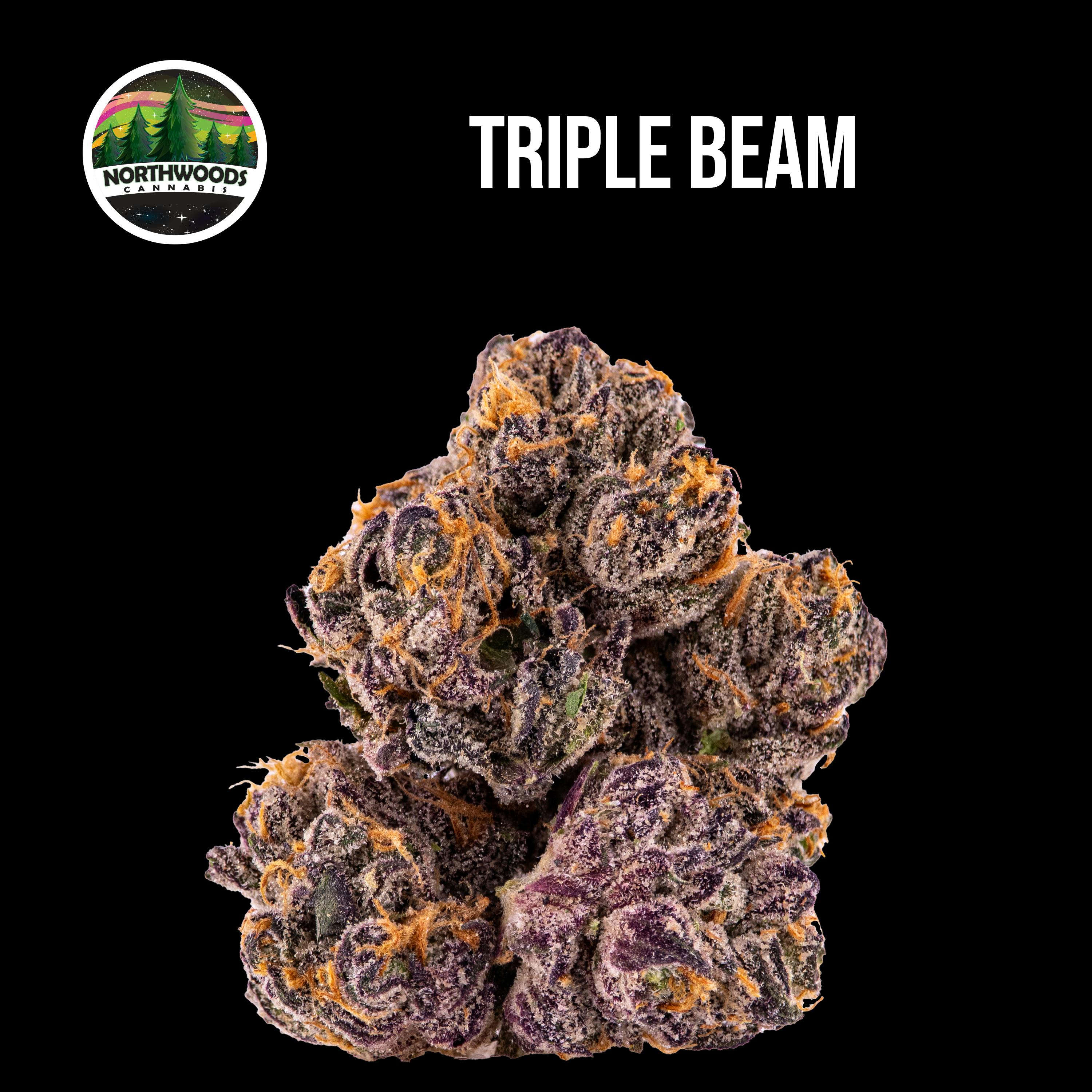 Northwoods Triple Beam Flower