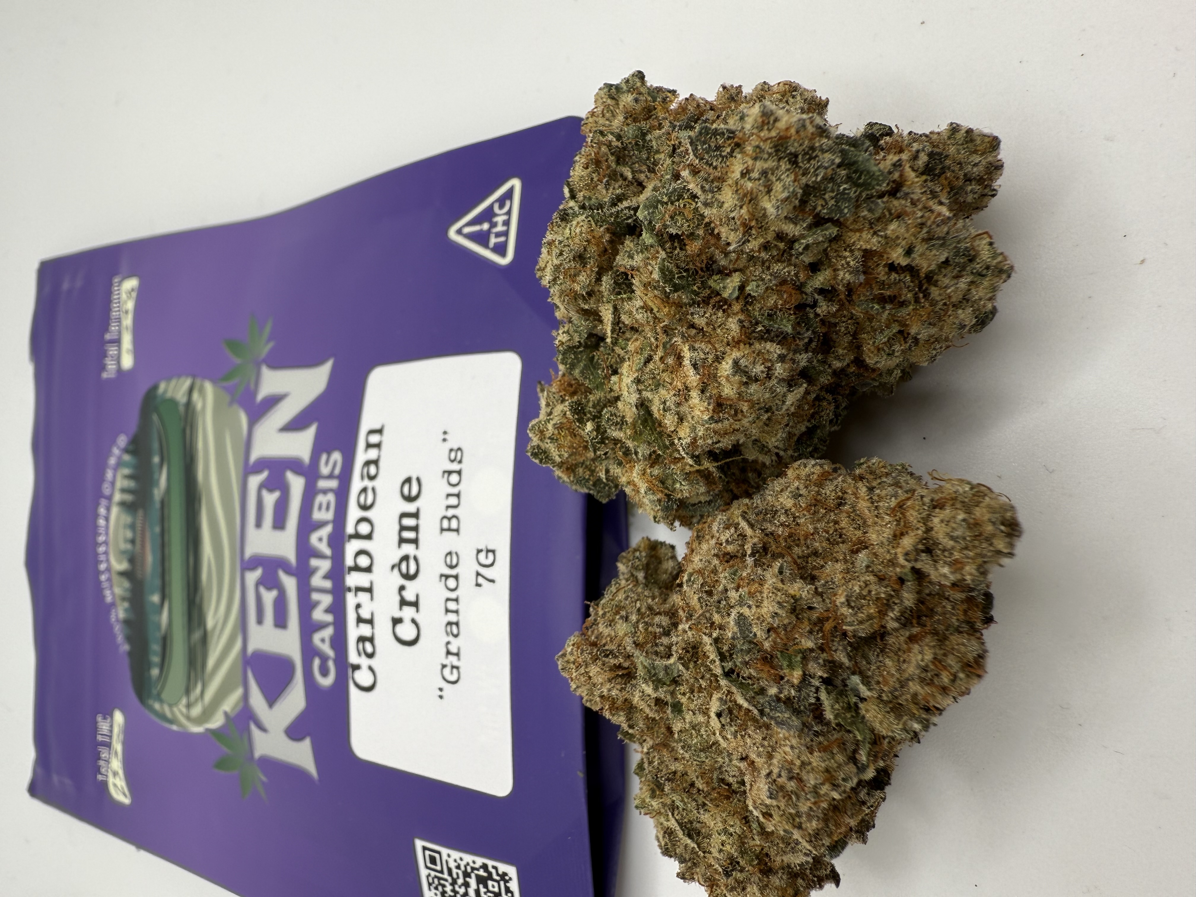 Caribbean Creme Flower