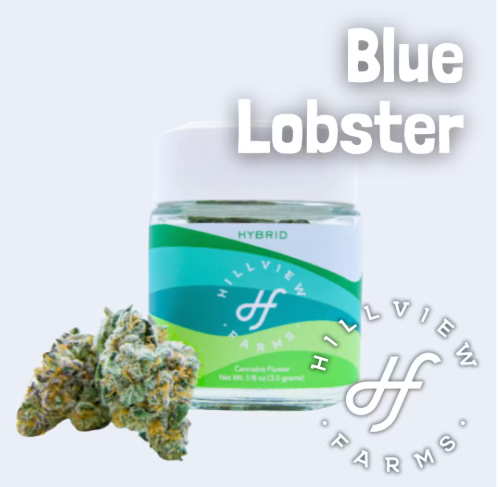 Hillview Blue Lobster