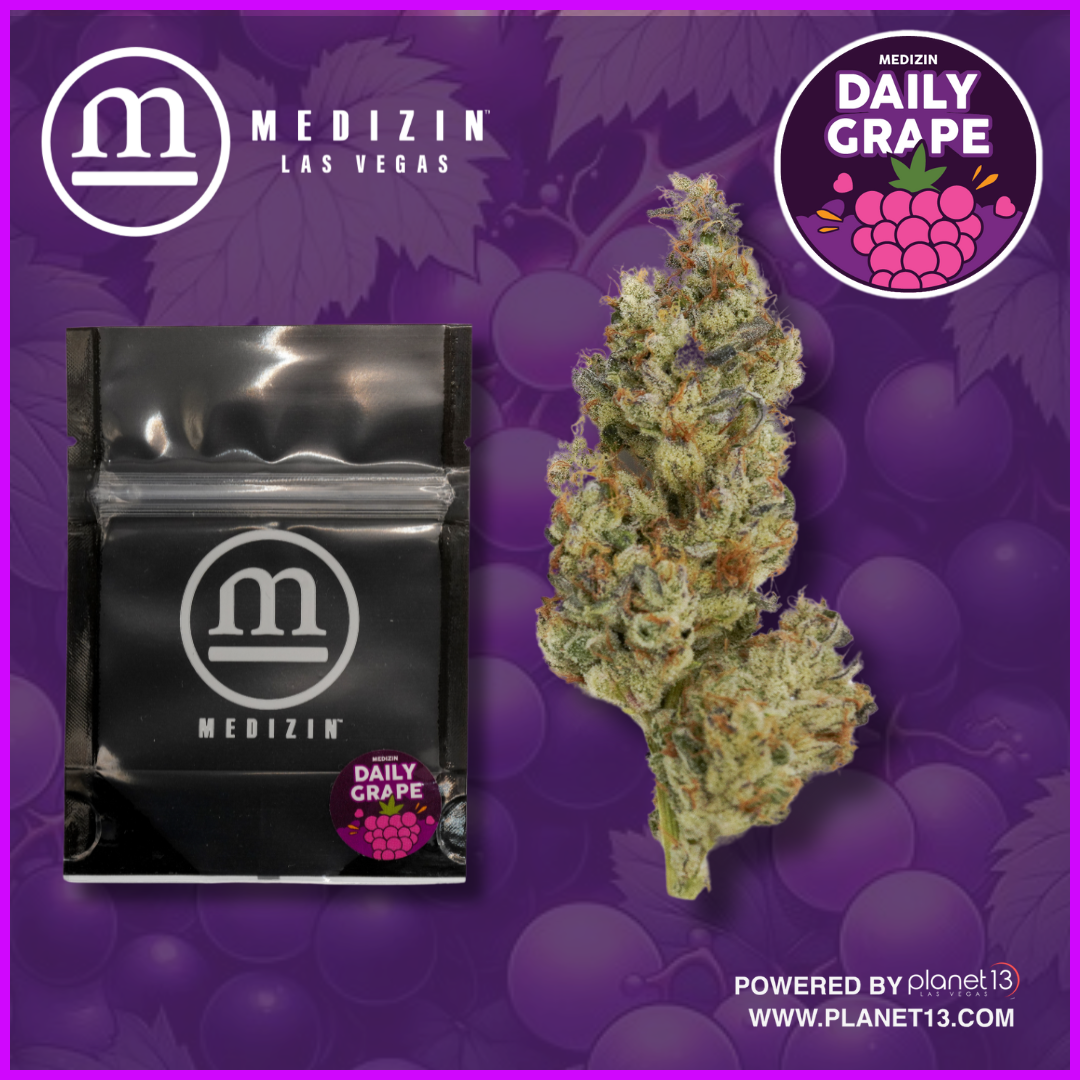 Medizin Daily Grape 3.5g Prepack