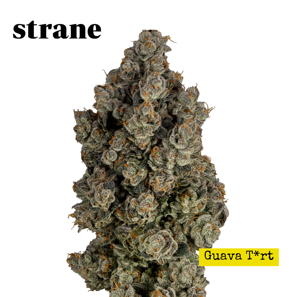 Guava T*rt Reserve Flower 3.5g