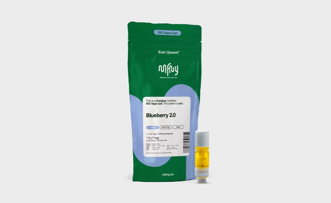 Blueberry 2.0 | Live Resin 510 Cart | 1g