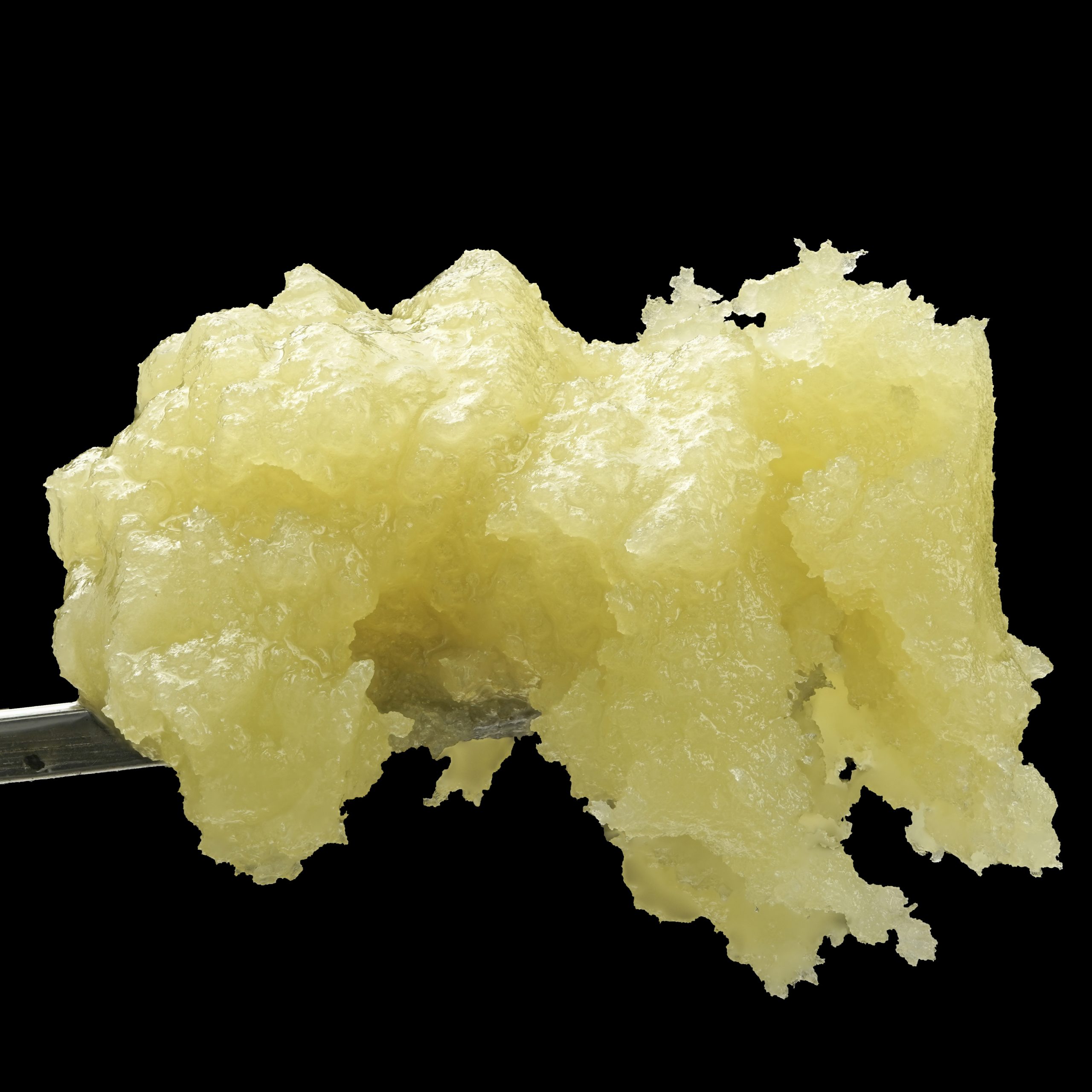 WOJO | Concentrate | Live Rosin | Berry Blackout